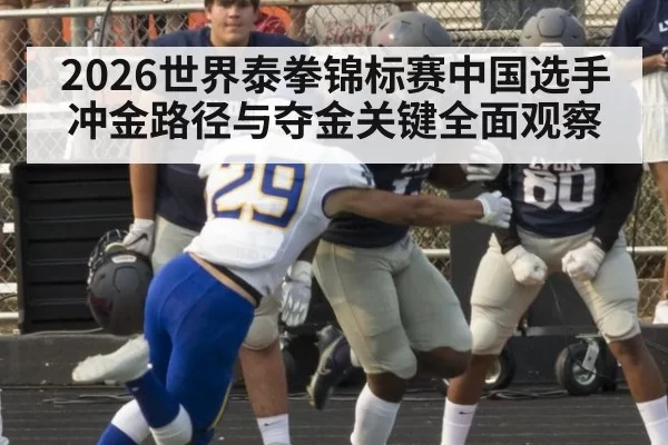 2026世界泰拳锦标赛中国选手冲金路径与夺金关键全面观察